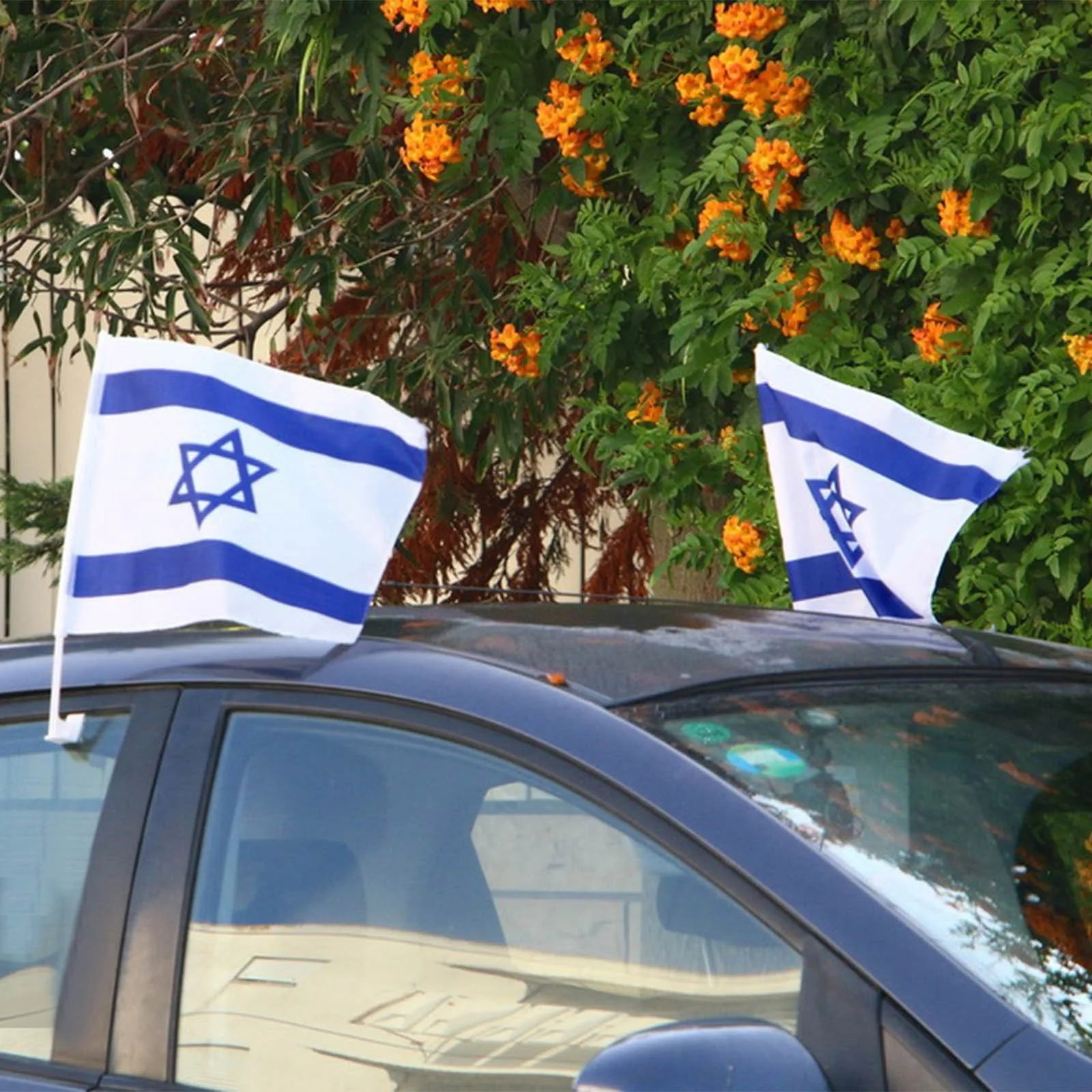 Small Hand Waving Flags of Israel